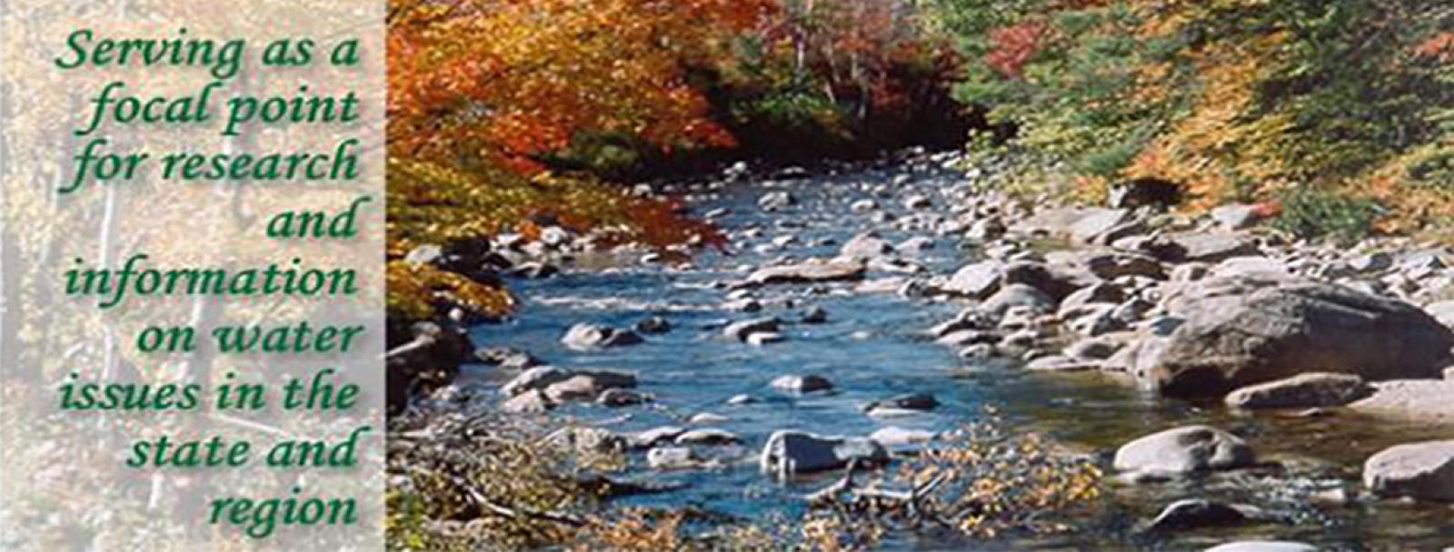 river in the autumn